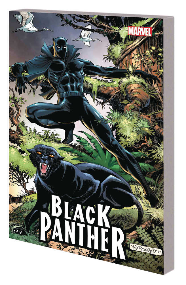 Black Panther Panthers Quest TPB